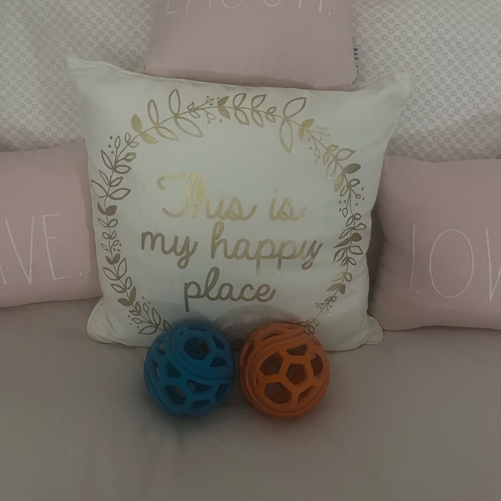 2 Vibrant Life Fetch Buddy Balls